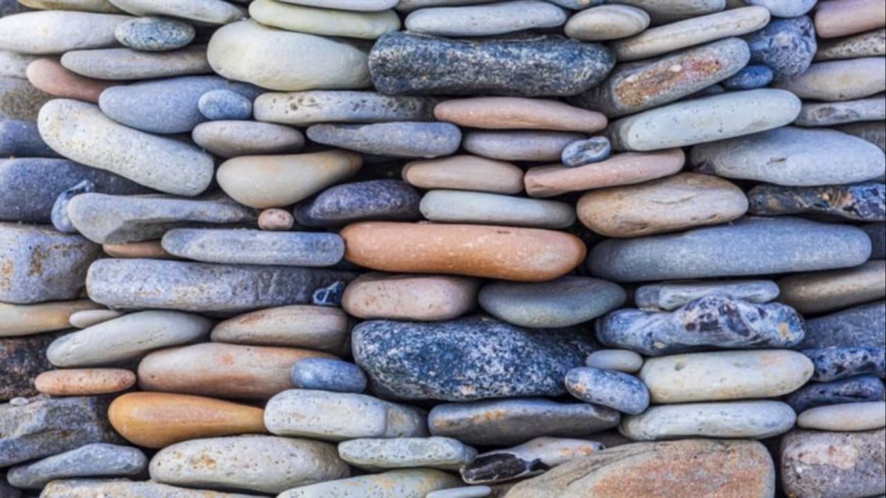 Here's how to create trust in a virtual world