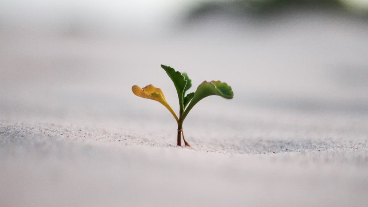 How to make your personal brand high-growth, high-yield