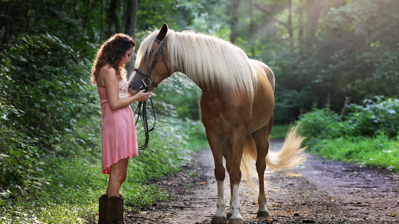 Riding the "slow horse" to a strong brand