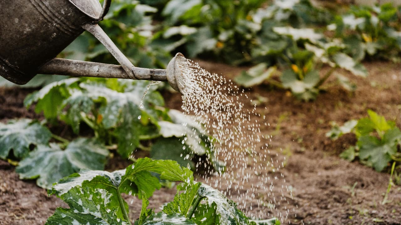 Sustainable Systems for Lasting Influence