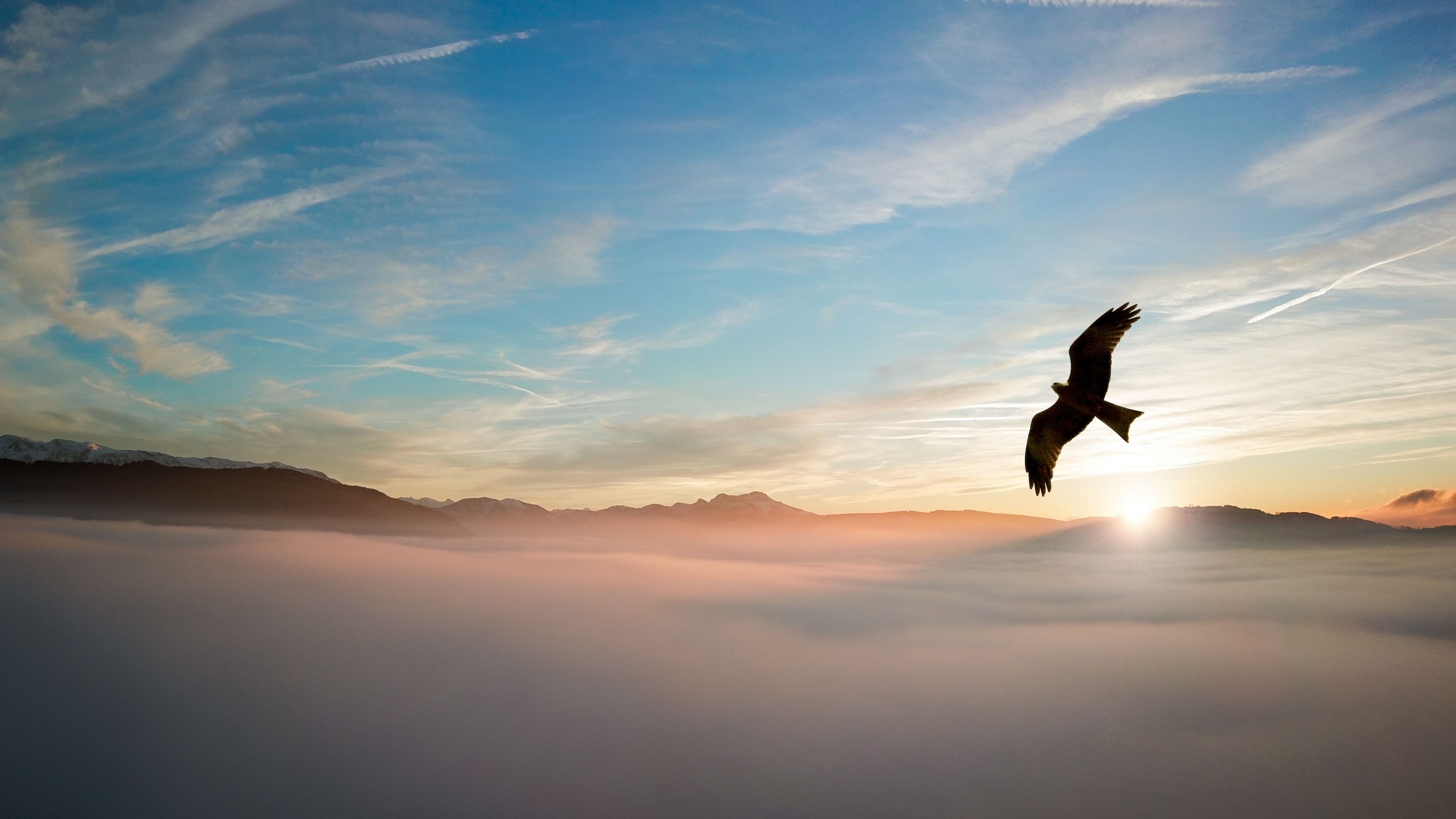 The call to rise, beckons...